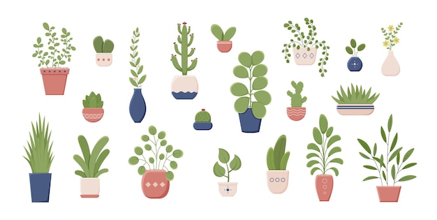 Vector collection of various plant in ceramic container colorful greenery with leaves for home growing