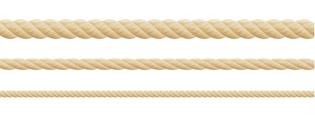 Vector collection of various ropes string on white background. each one is shot separately