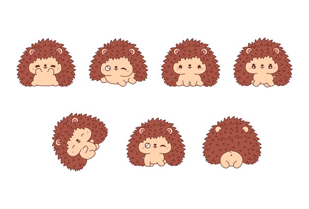 Vector collection of vector cartoon hedgehog art set of kawaii isolated animal illustrations for prints for