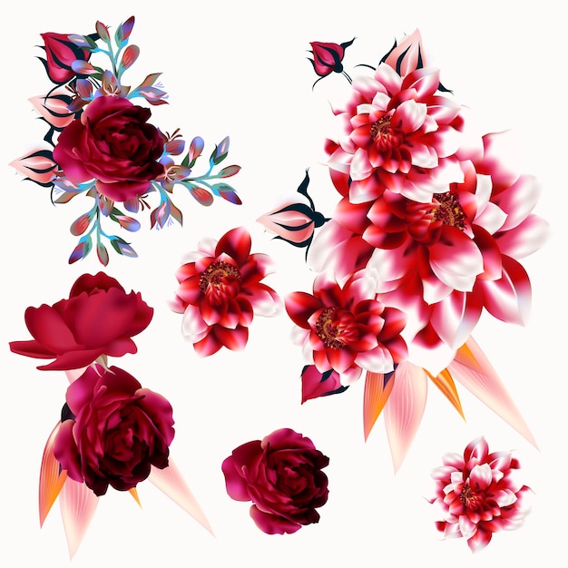 Vector collection of vector detailed flowers