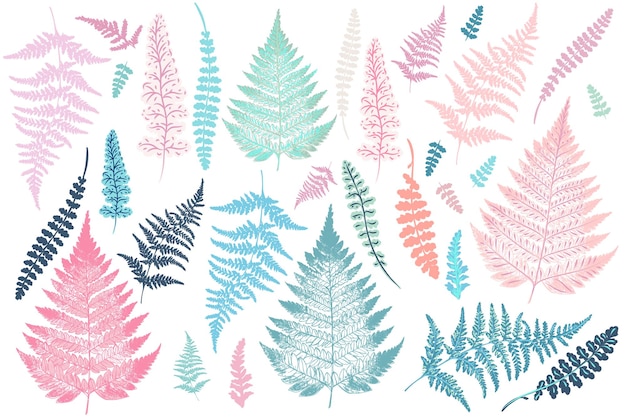 Vector collection of vector fern leaves tropical plants