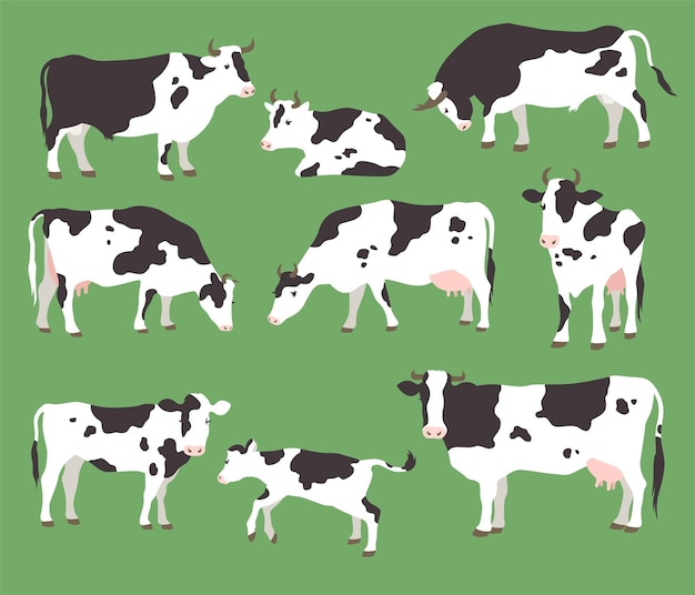 Vector collection of vector illustration of grazing cows and bulls with calves on green grass