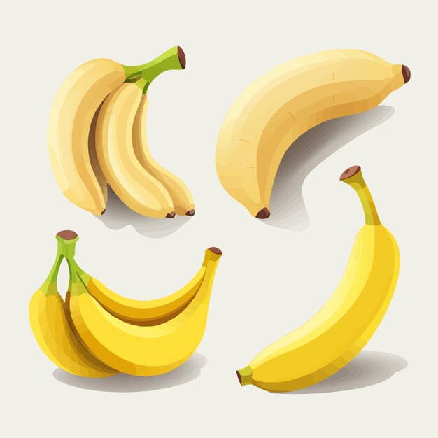A collection of vector illustrations of bananas