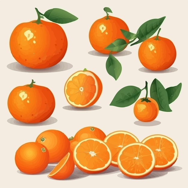 A collection of vector illustrations featuring juicy tangerines