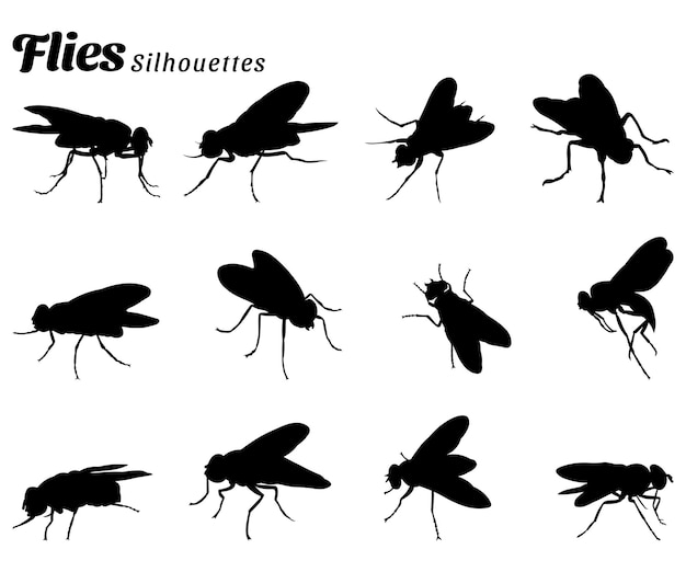 파리의 곤충 동물 실루엣의 벡터 일러스트 컬렉션