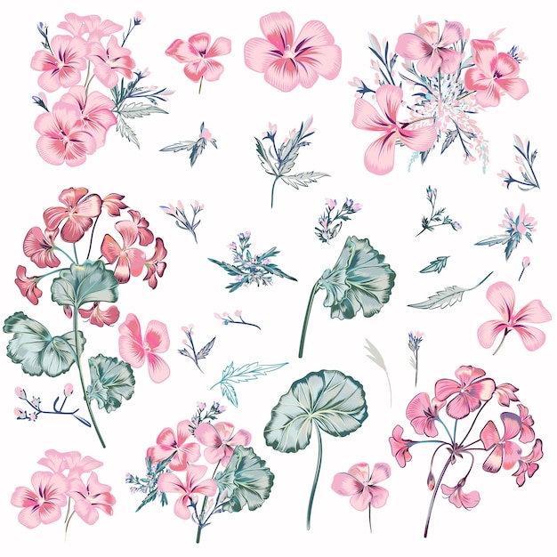 디자인을 위한 빈티지 스타일의 벡터 핑크 꽃과 잎의 컬렉션