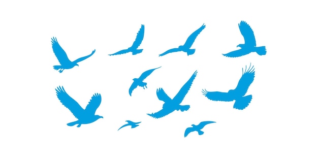 collection of vector silhouettes of eagles in flying perched and stalking positions
