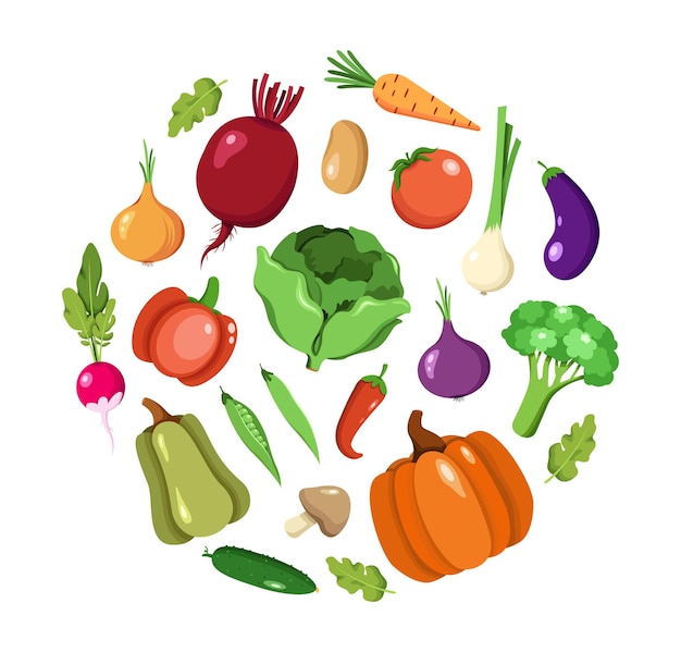 Vector collection of vector vegetables