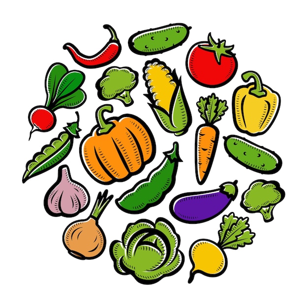 Collection of vegetables set Vector illustration