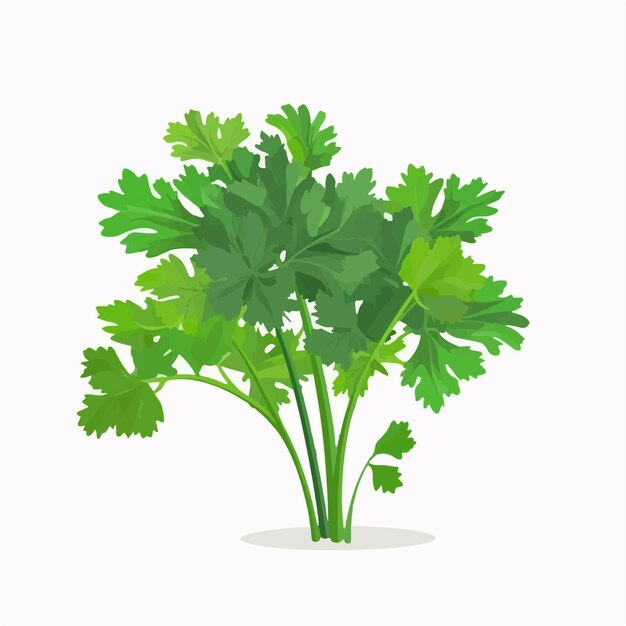 Collection of vibrant parsley stickers for creative projects