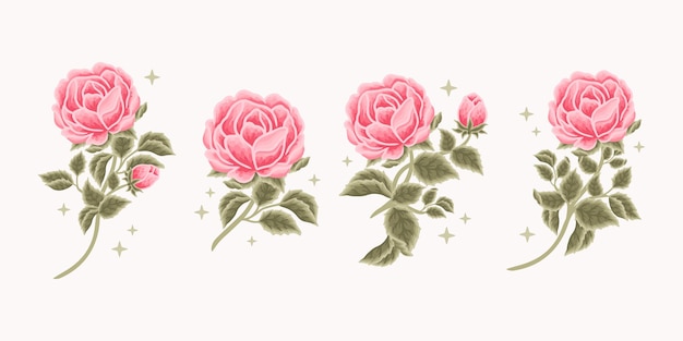 Collection of vintage romantic pink rose and peony flower feminine logo beauty brand elements