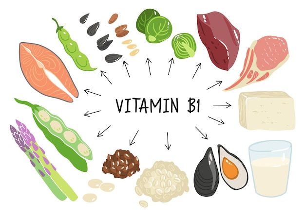 Raccolta di fonti di vitamina b1 alimenti contenenti tiamina tofu farina d'avena fegato fagioli di maiale piselli cozze salmone asparagi semi di lino cavoletti di bruxelles prodotti dietetici alimentazione biologica