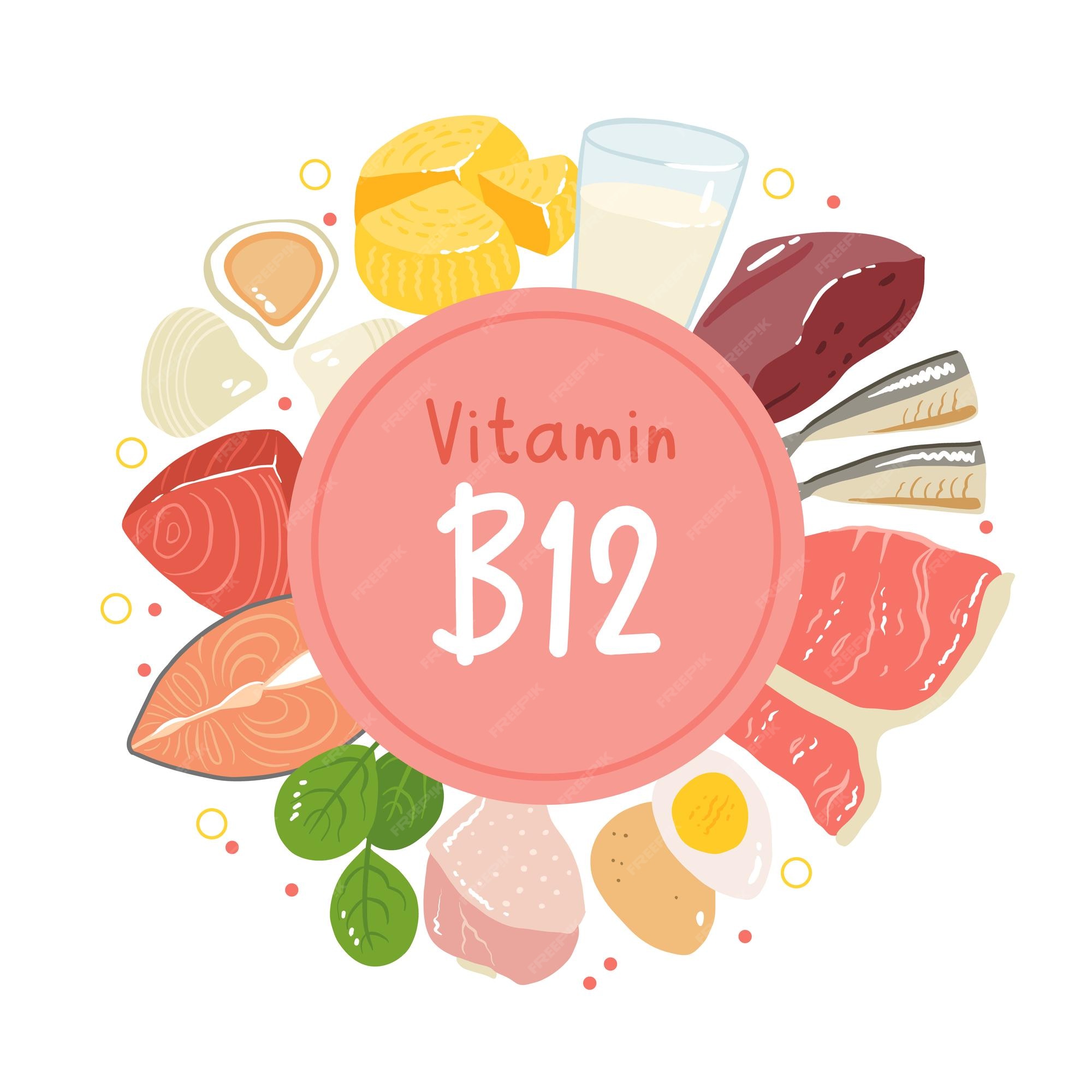 Page 21 | Vitamin wood Vectors & Illustrations for Free Download | Freepik
