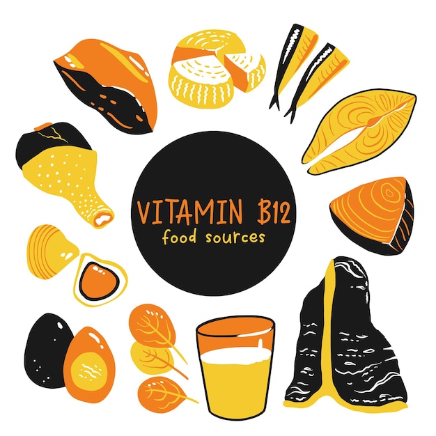 Collection of vitamin B12 food cheese eggs clams beef turkey milk liver spinach sardines tuna salmon Dietetic products organic natural nutrition Flat vector cartoon illustration