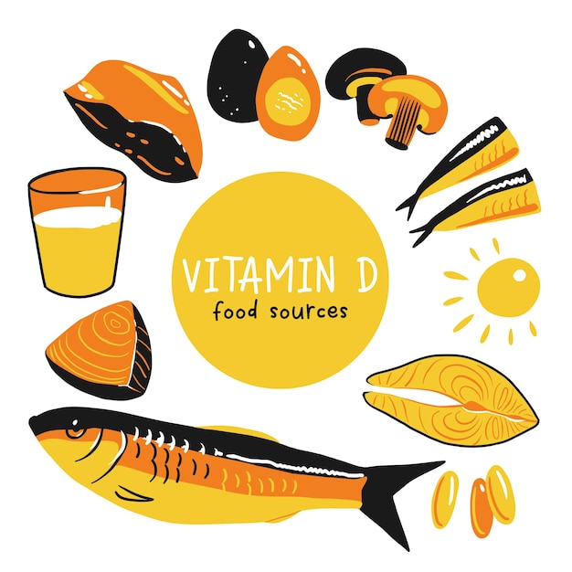 Vector collection of vitamin d sources food enriched with cholecalciferol dairy products fish mushrooms and eggs dietetic organic nutrition flat vector cartoon illustration isolated on white