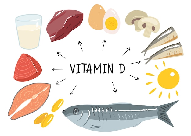 Collection of vitamin D sources Food enriched with cholecalciferol Dairy products fish mushrooms and eggs Dietetic organic nutrition Flat vector cartoon illustration isolated on white