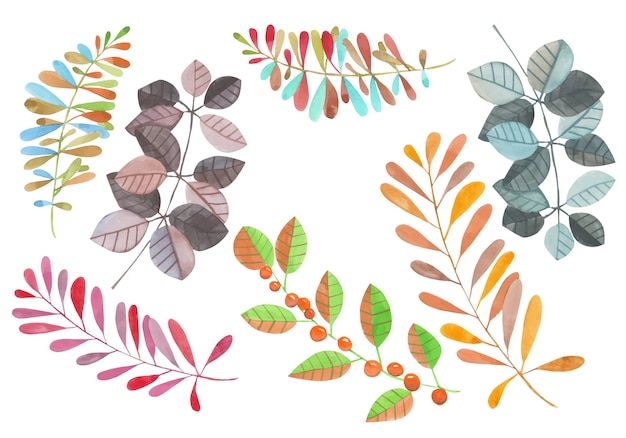 Collection of the watercolor abstract branches with leaves