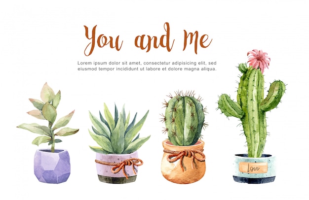 Collection watercolor Cacti and Succulents with pots.