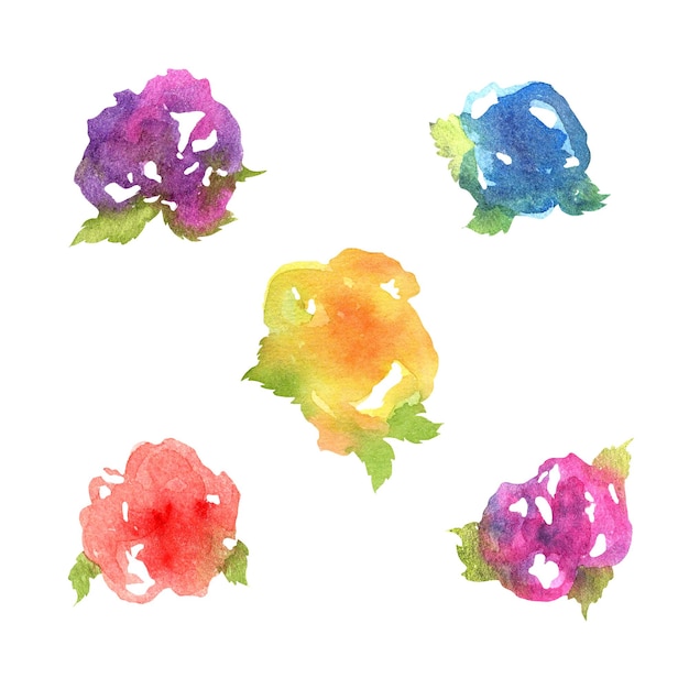 Vector collection of watercolor drawing roses buds red purple yellow blue