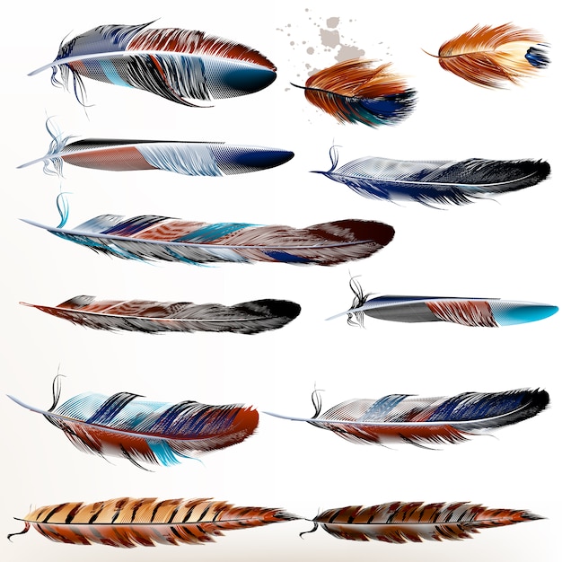 Collection of watercolor feathers