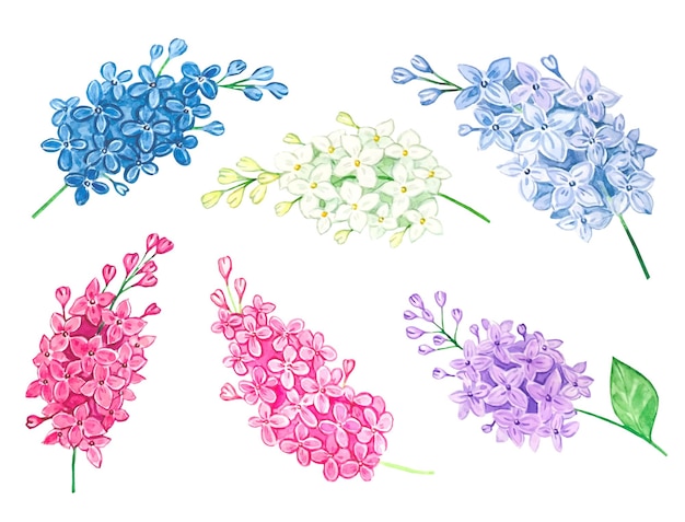 Vector collection of watercolor lilac branches isolated