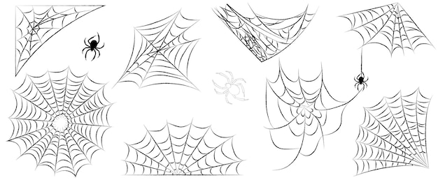 Collection of webs for Halloween holiday decoration.