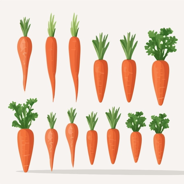 A collection of whimsical carrot vectors for your kids' book or game