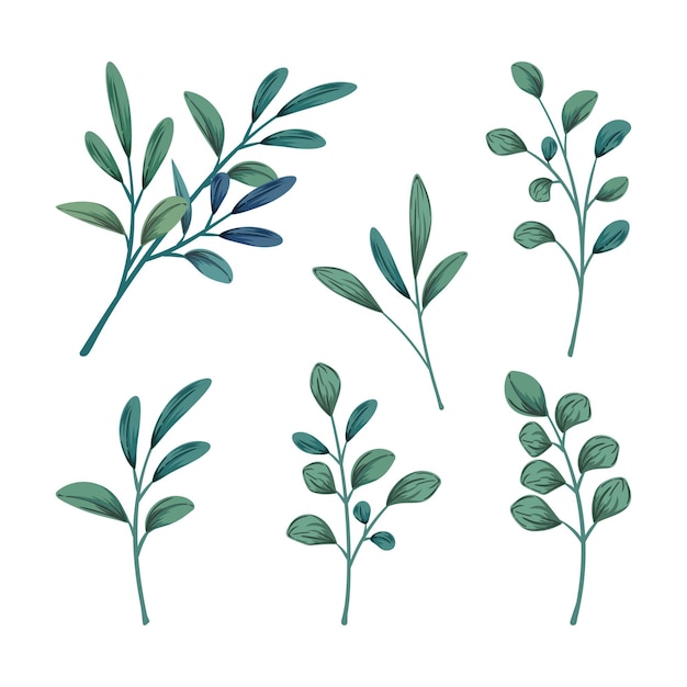 Vector collection of wild and herbs leaves branch on white