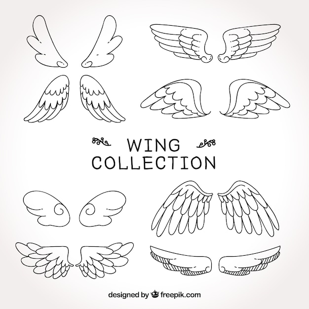 Collection of wings sketches