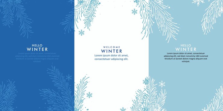 Vector collection of winter vector design backgrounds with pine branches and snowflakes theme design