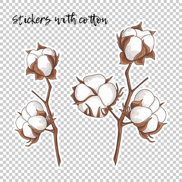 Vector collection with cotton twigs on transparent background