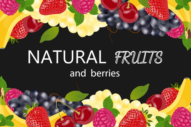 バナーデザインのための環境に優しい製品のコレクション熱帯または庭の果物とベリー