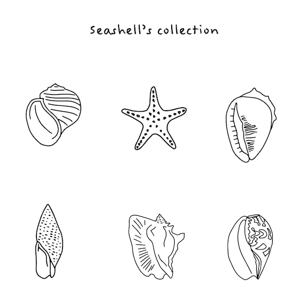 Вектор Коллекция с элементами морской раковины, нарисованными вручную