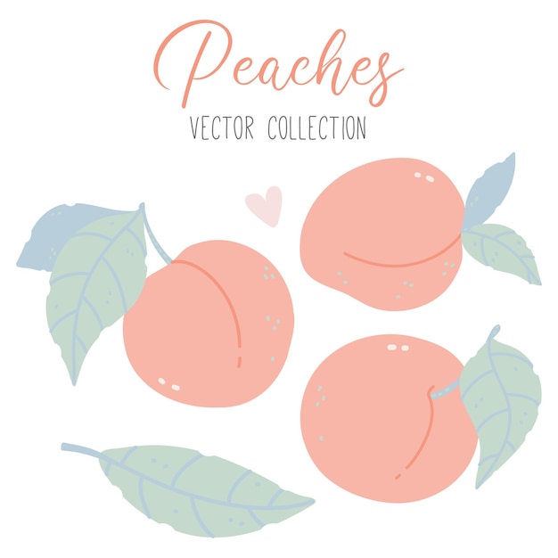collection with peaches leaves and heart