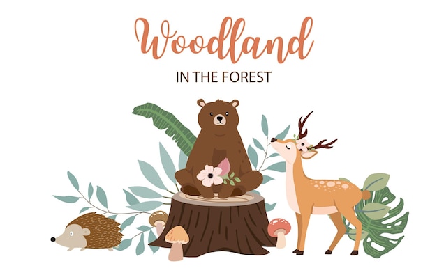 collection of woodland background set with colorful design