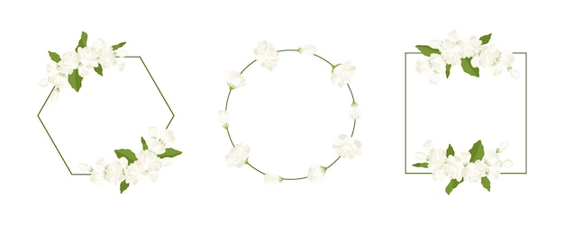 Vector collection of wreath jasmine flower hand drawn illustration
