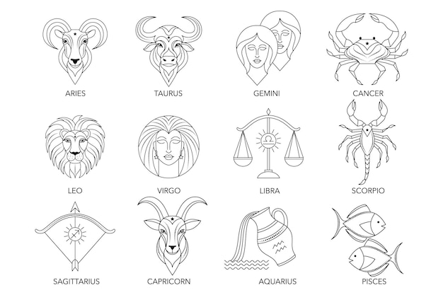 collection of zodiac signs in line art style on white background