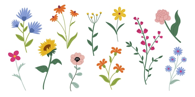 collectionl spring flowers in a flat vector style on a white background
