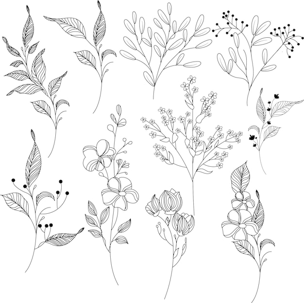 Коллекция натуральных листьев трав в линейном стиле, элегантная иллюстрация для дизайна ручного рисунка цветка