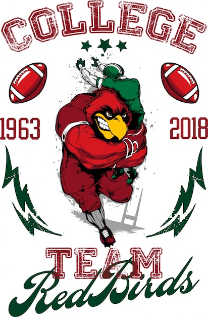 College Team RedBirds