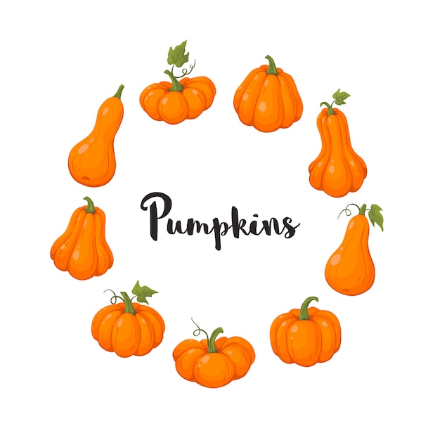 Coloful pumpkins set vector illustration