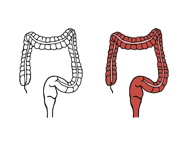 Illustrazione vettoriale del doodle del colon icone dei cartoni animati dell'apparato digerente