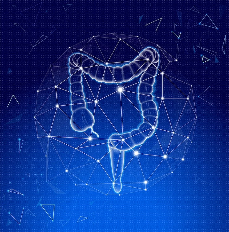 Vector colon xray image with blue tone background and modern technology style