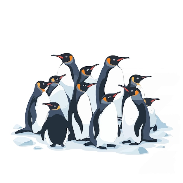 A colony of penguins 3