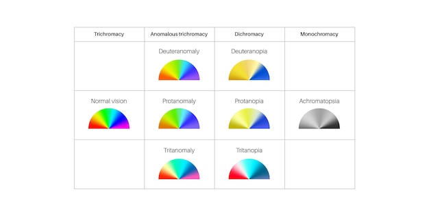 Vector color blindness poster