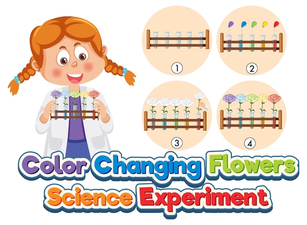 色が変わる花の科学実験