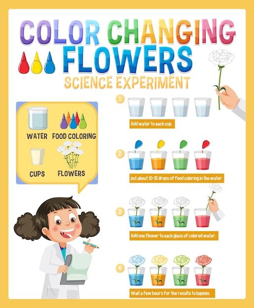 Научный эксперимент с изменяющими цвет цветами