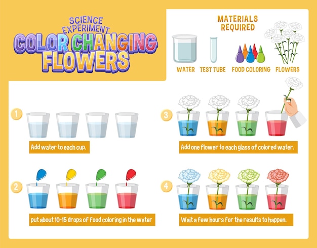 Color Changing Flowers Science Experiment