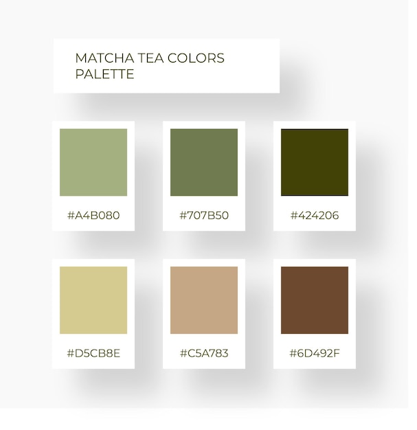 Vettore elemento di colore tavolozza di colori di tendenza accogliente tavolozza di colori del tè matcha boho swatch tono bellissimo