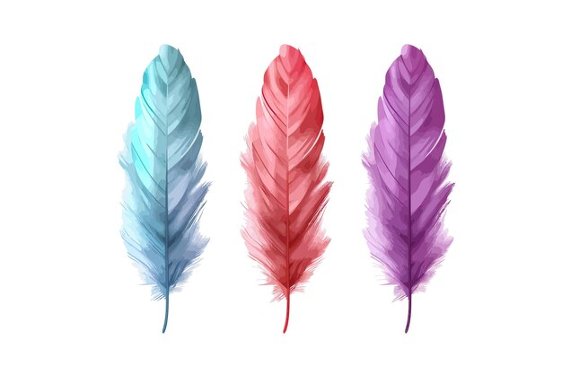 Color feathers soft bird plumage isolated on background Cartoon vector illustration